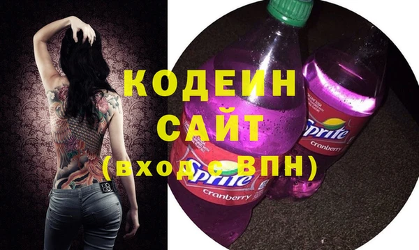 мдпв Краснослободск