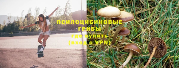 бошки Алексин