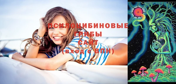 бошки Алексин