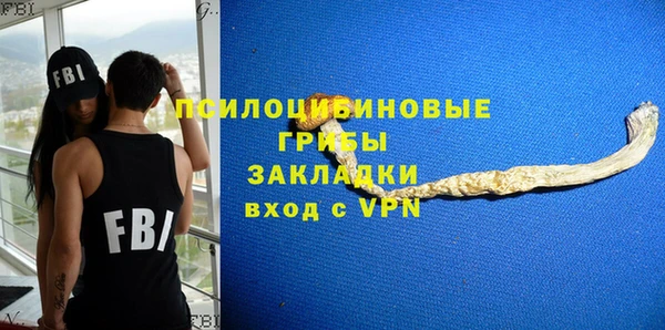 соль ск Алзамай
