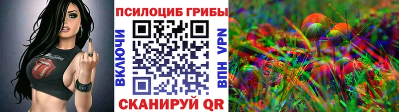 купить цена Жуков Псилоцибиновые грибы прущие грибы